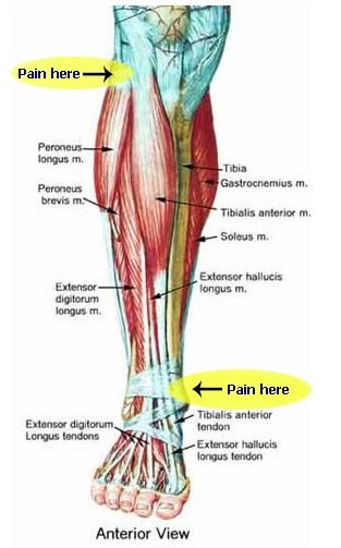 duchossois: Left leg pain...cut short my planned 20 miler today