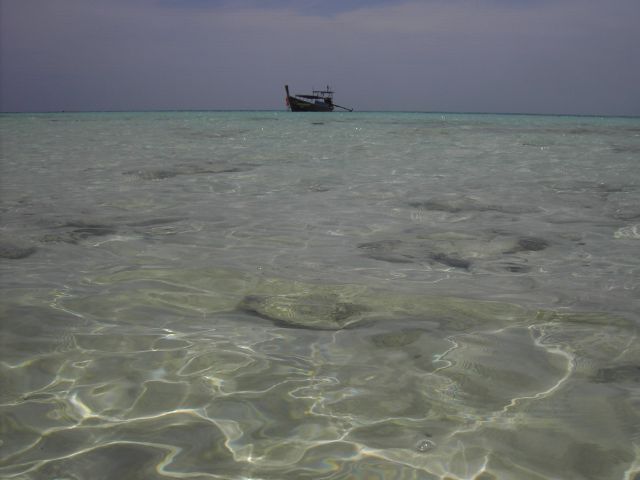 [PICT3141.JPG]