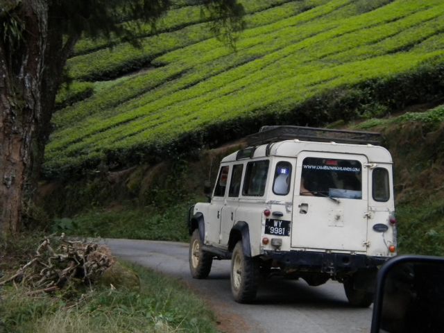 [DSCN0617.JPG]