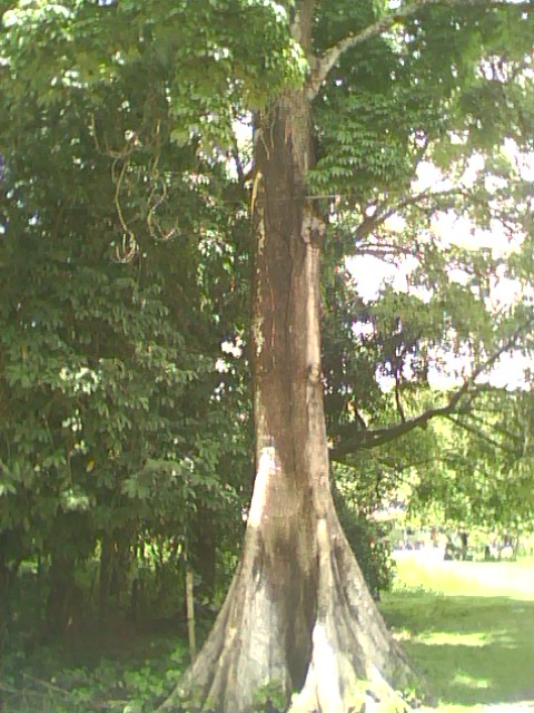 [IMG0080A.jpg]