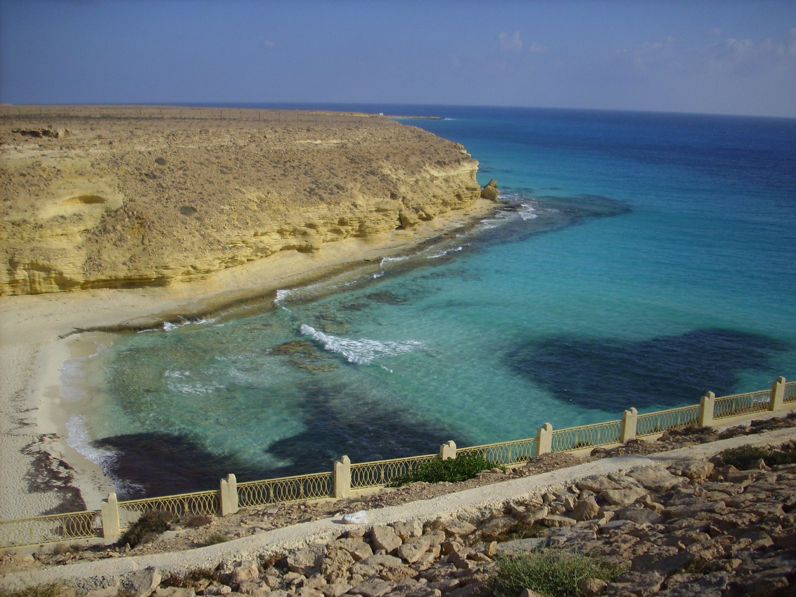 [IMG_0792.JPG]