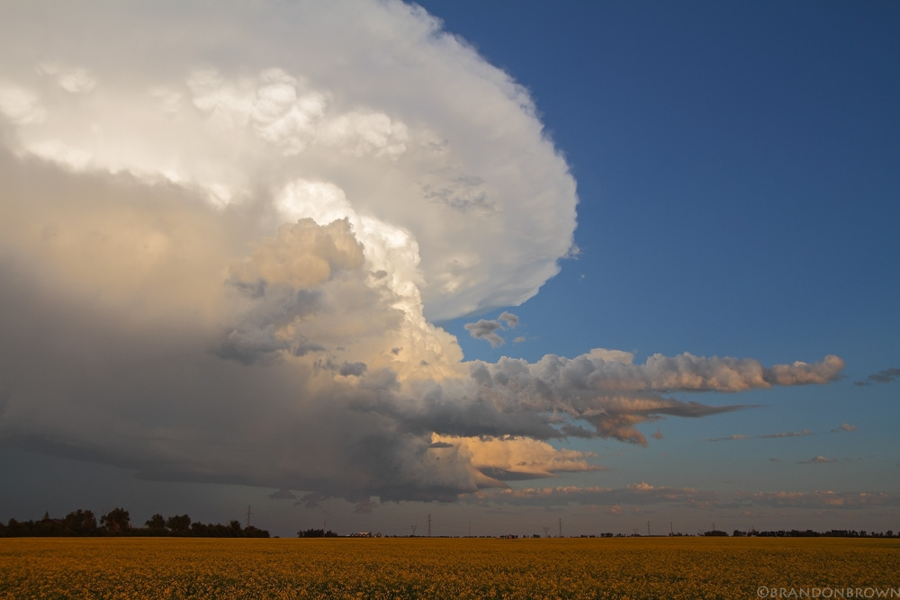 IMAGE: http://4.bp.blogspot.com/_ABqhvJ55dSQ/TE5RZOdD4zI/AAAAAAAAA0I/_RFBx6gH-rM/s1600/july2510supercell8.jpg