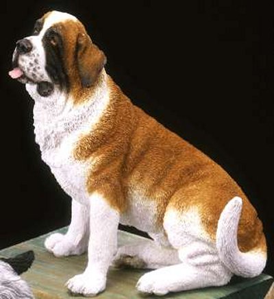 The St. Bernard is a large dog
