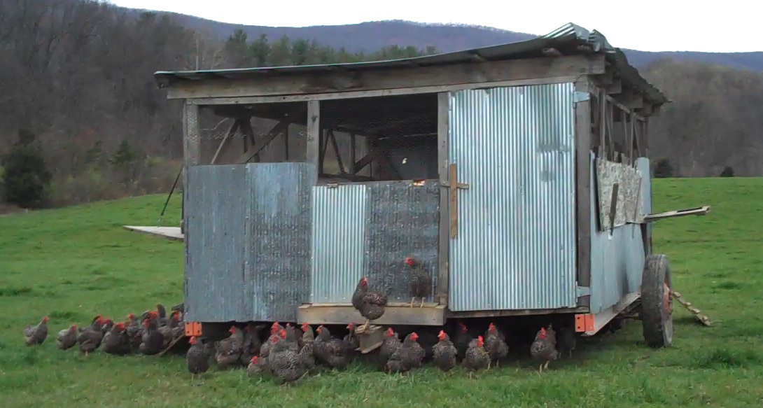 [6+Egg+Mobile.jpg]