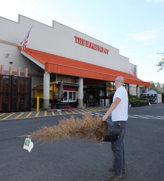 TNT Builds Home Depot�s plant return policy