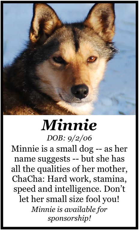 [MinnieTeamCardFront.jpg]