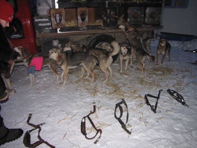 [CB300StartDogs.jpg]