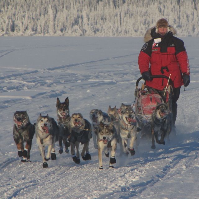 [CB300AliyTolsona.jpg]