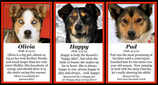 [HappyOnTheTeam.jpg]