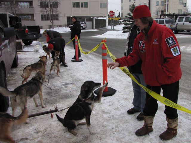 [DogVisits.jpg]