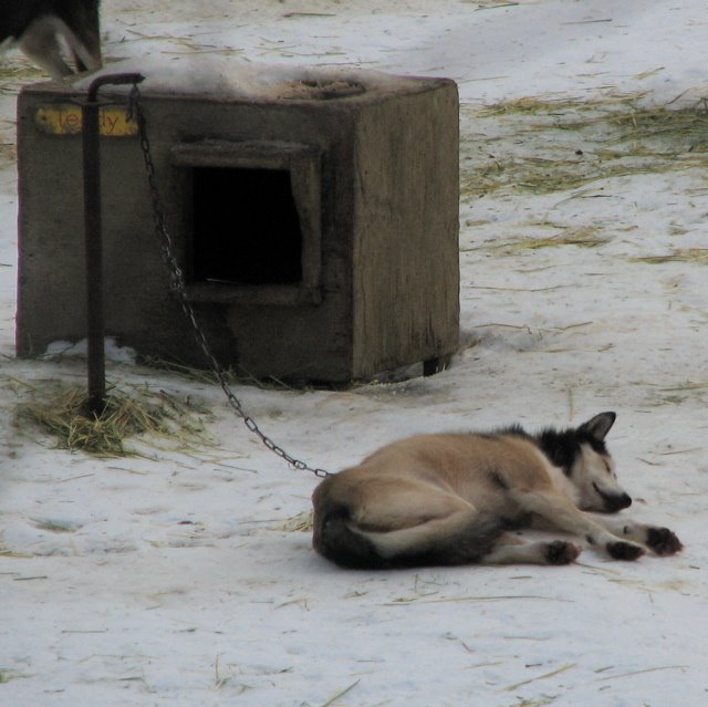 [TeddyOnTheBeach.jpg]