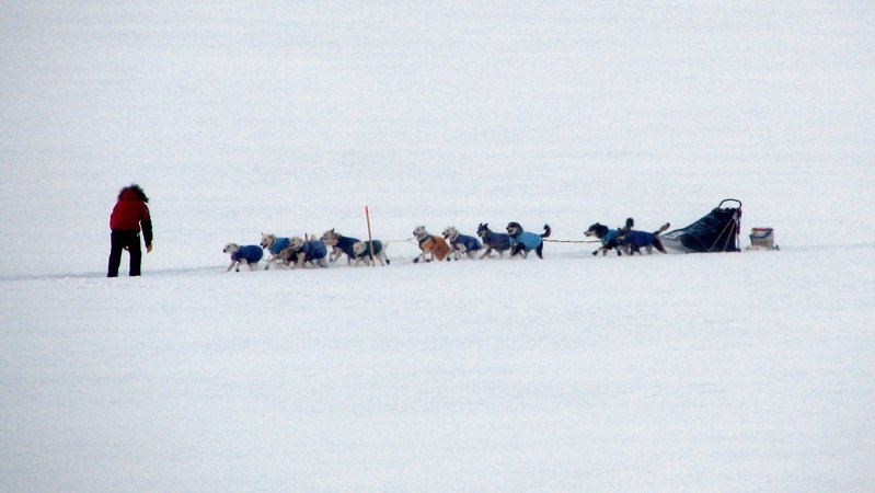 [CB300LooseTeam.jpg]