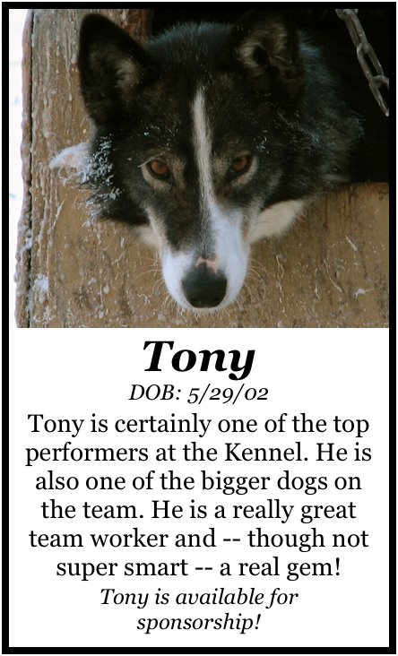 [TonyPoster.jpg]