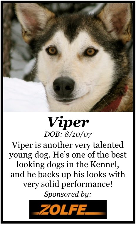 [ViperTeamCardFront.jpg]