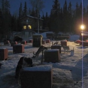 [MorningFeeding.jpg]