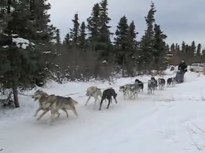 [WMpt5-TakeOff.jpg]