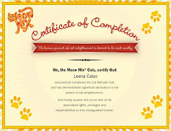 Cat certificate