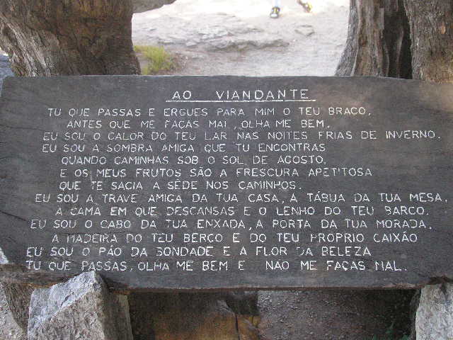[P1010057.JPG]