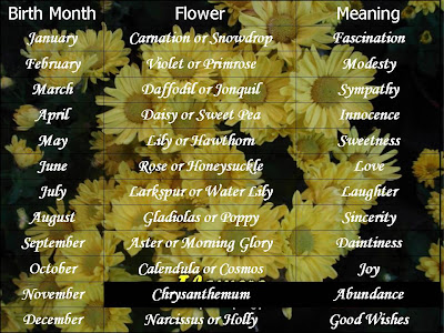 birthstones for each month. each month of the year,