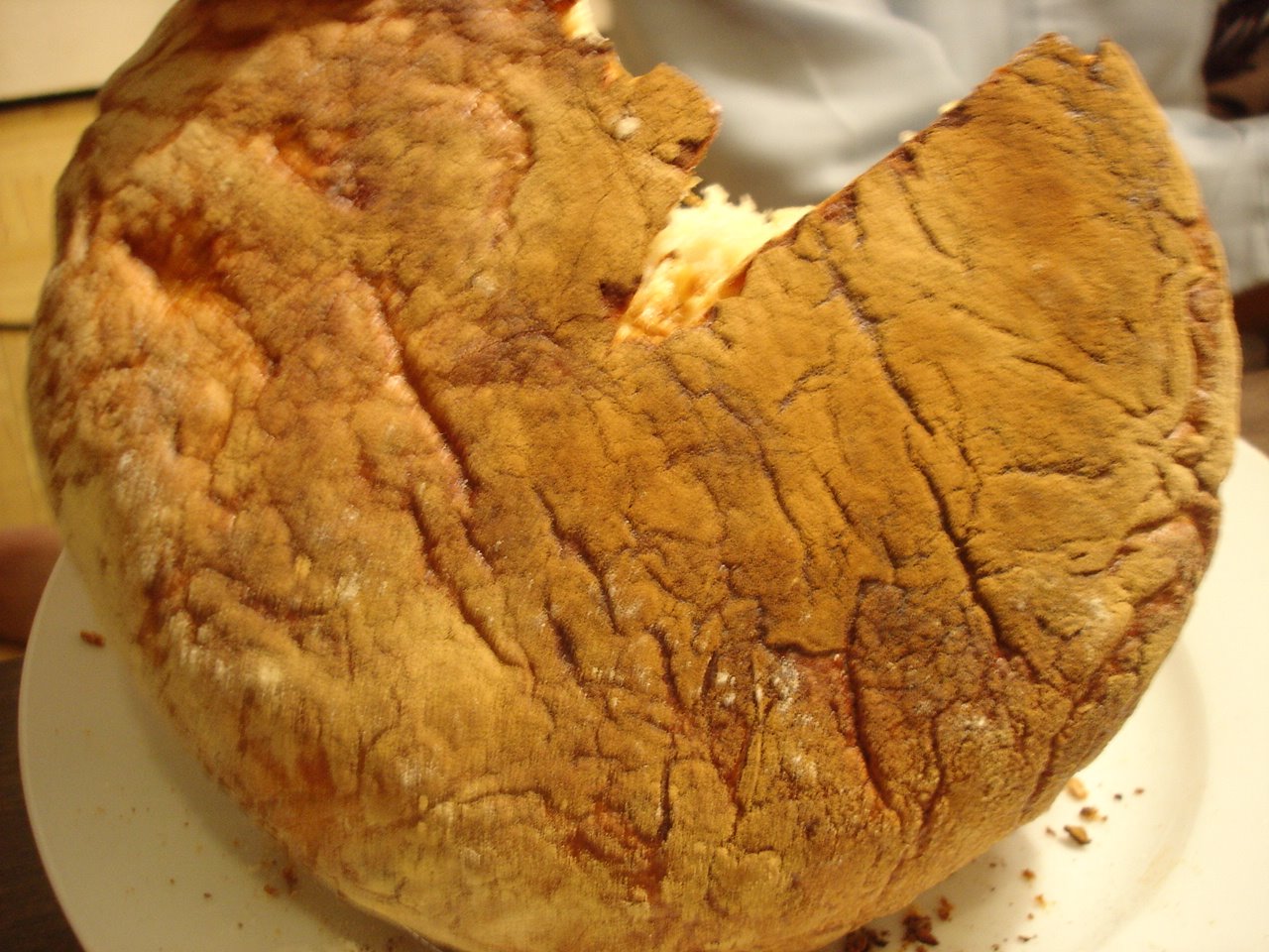 [DSC04460.JPG]