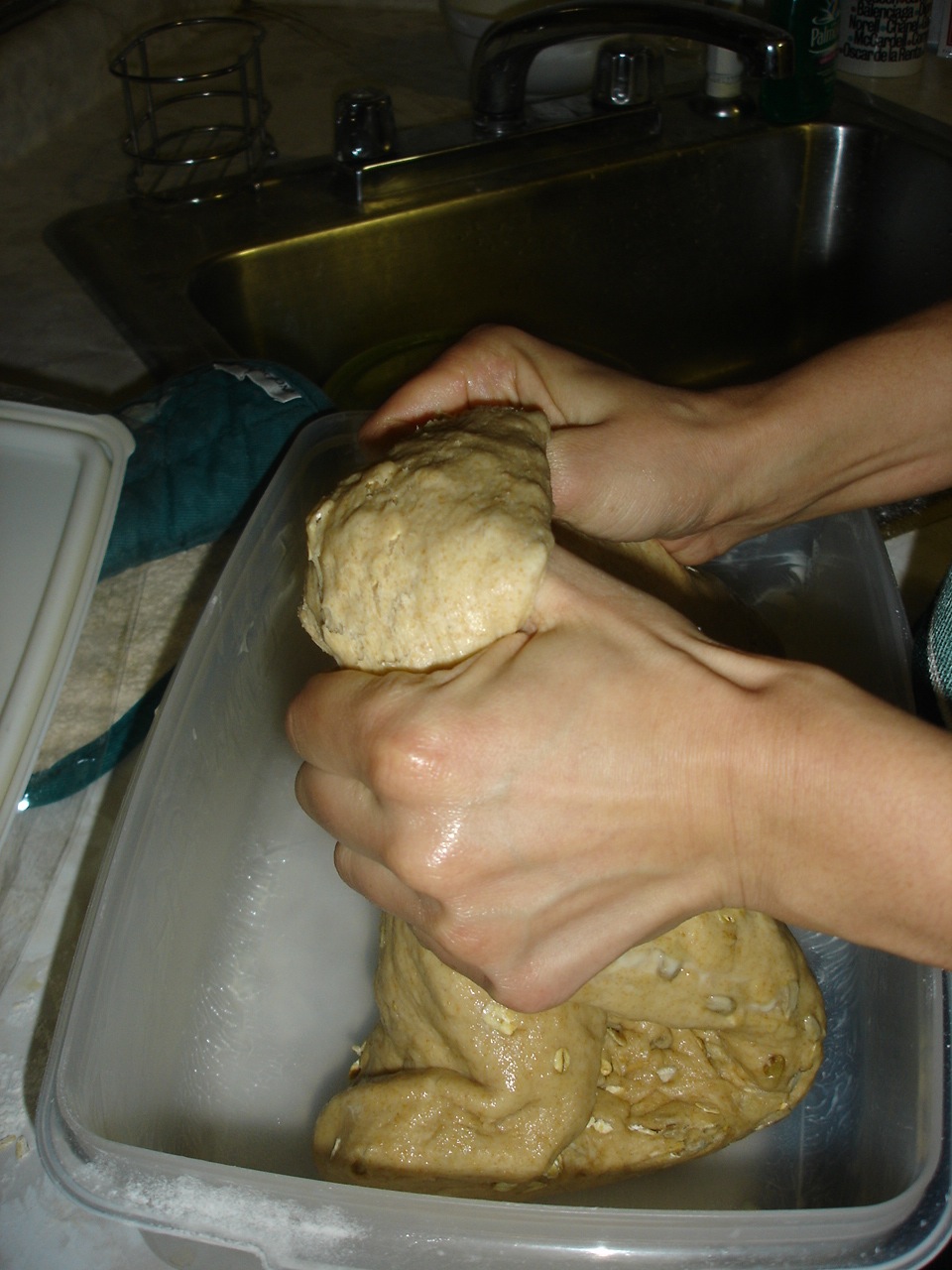 [DSC04451.JPG]