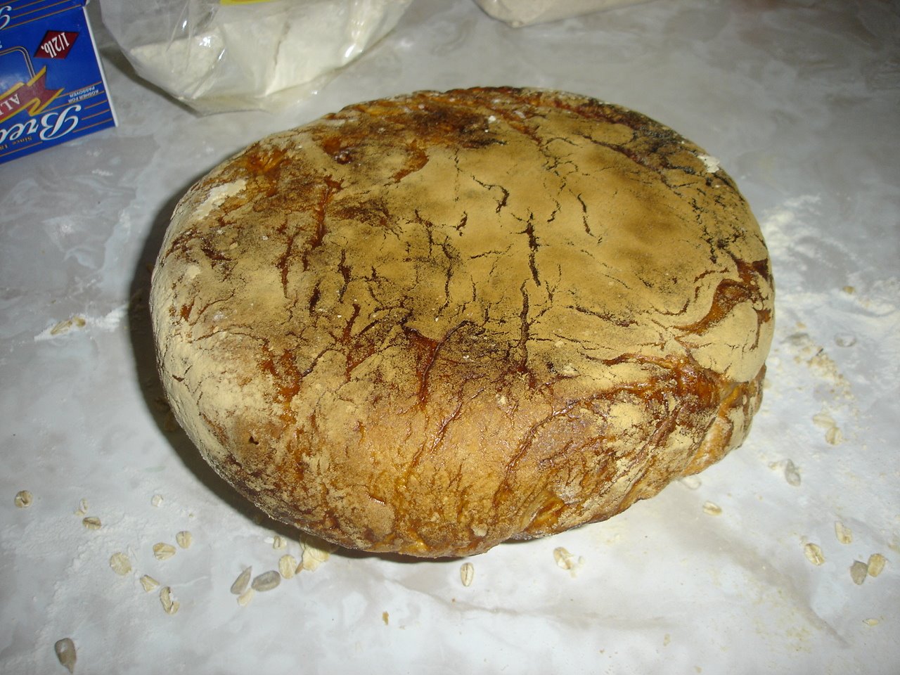 [DSC04445.JPG]
