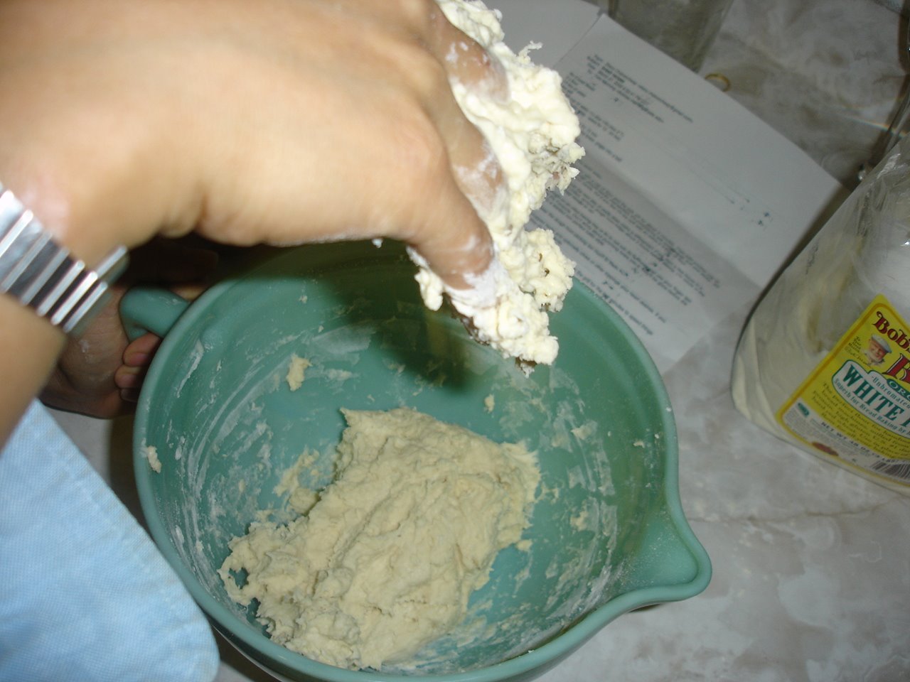 [DSC04395.JPG]