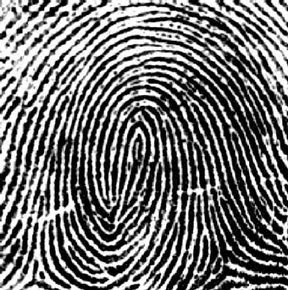 MY THEORY: When you have eliminated the impossible, whatever remains, however improbable, must be da troot CONTINUATION Fingerprints