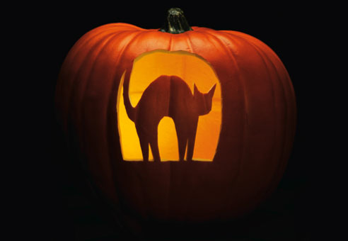 Carving Pumpkins funny pumpkin pictures. Carving Pumpkins