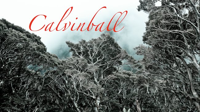 Calvinball