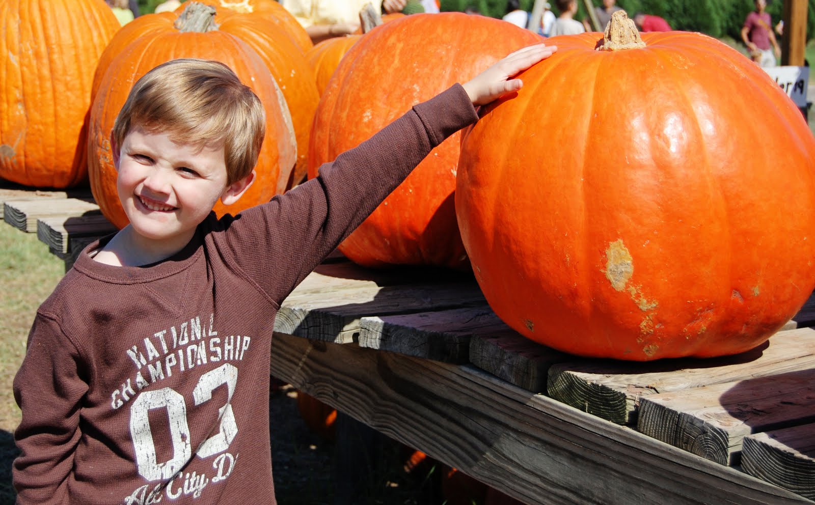 [Dominicpumpkin1.jpg]