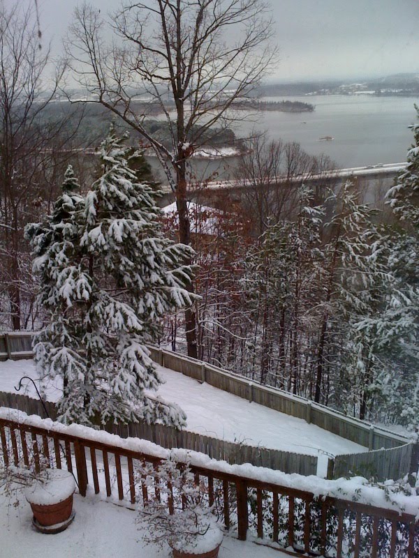 It's snowing in Arkansas. r/Arkansas