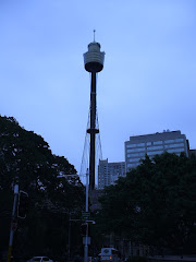 The Sydney Tower