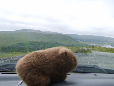The Wombat visits Donegal