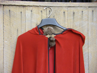 The Wombat tries on a cloak