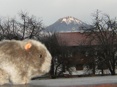 The Wombat laments the lack of snow