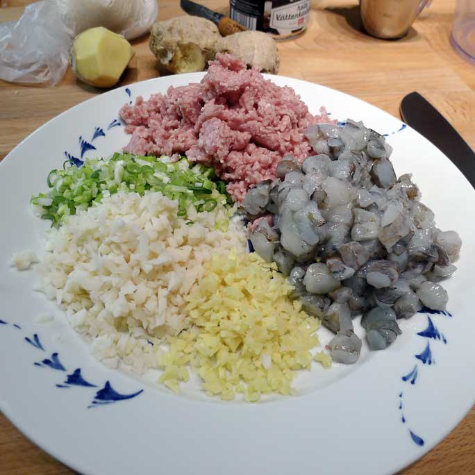 gyoza recept deg gyoza recept deg