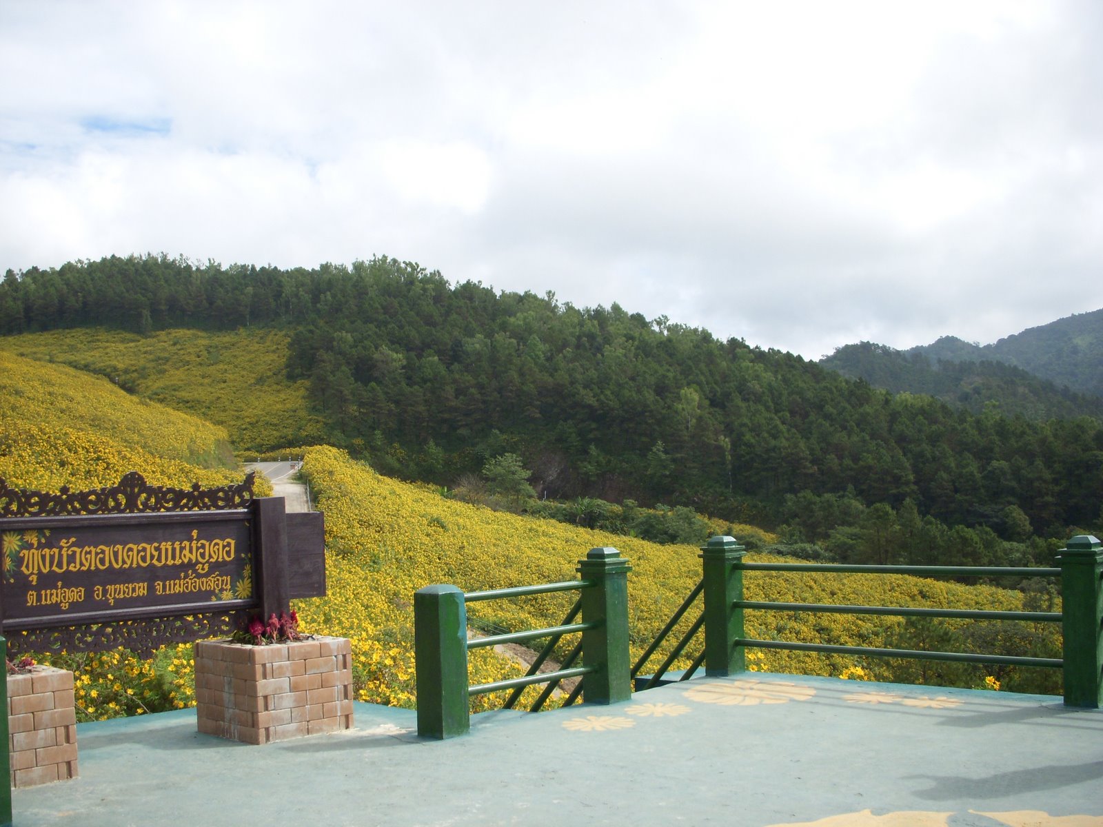 [DSCN0006.JPG]