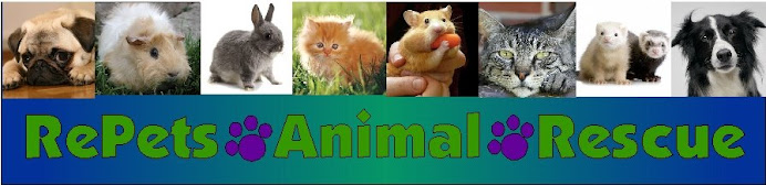 RePets Animal Rescue