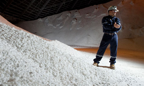 Potash corp stock options