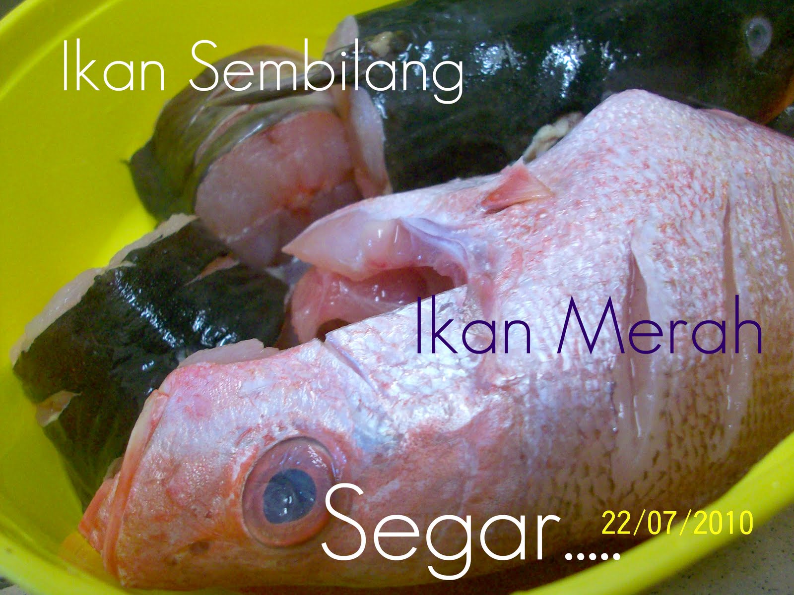 periuktanah: Sup Ikan Merah untuk sahur....