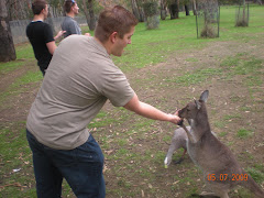 My first kangaroo sighting.....