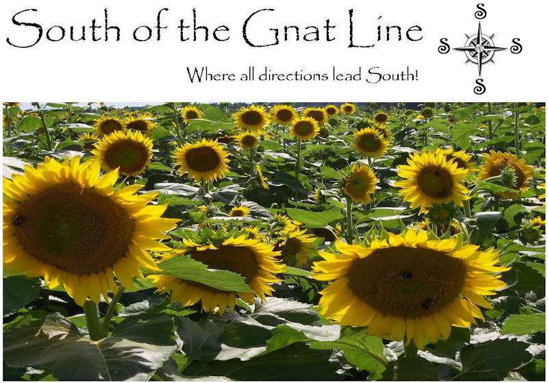 South of the Gnat Line