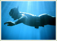 [f_snorkeling.jpg]
