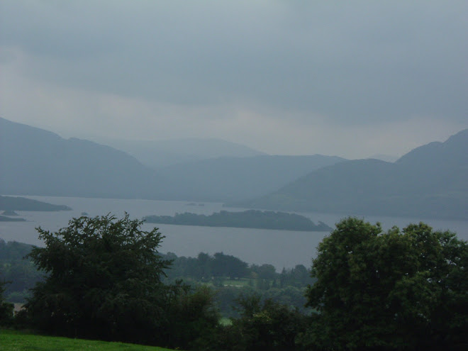 Suggestive Landscape - Killarney National Park (Ireland)