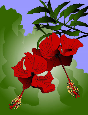 Tonight 39s second drawing is of some more Hibiscus flowers
