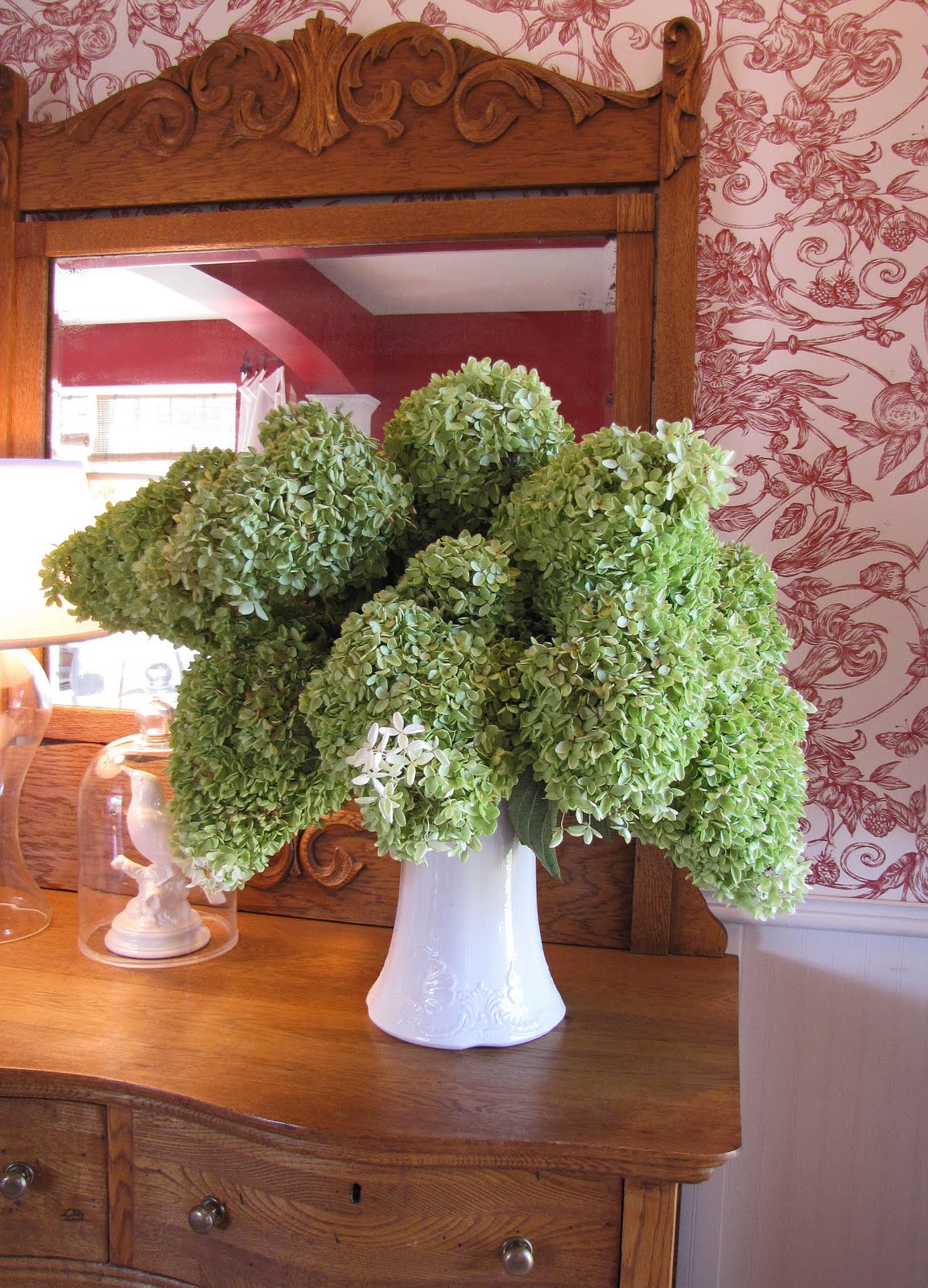 Dry Hydrangea