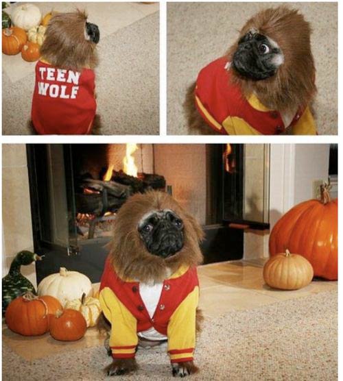 [23503_1346376293237_1046161758_31027937_1057621_n.jpg]