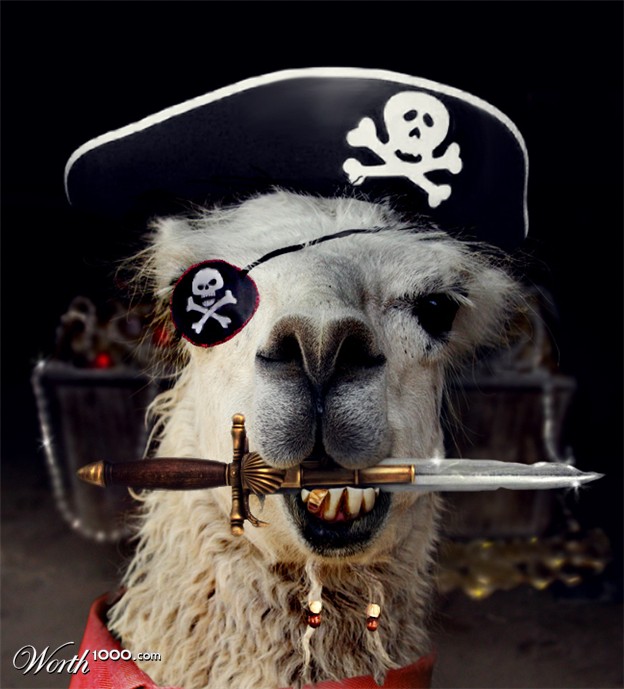 [1377172_e167_625x1000.jpg]