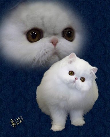 [863be370479b006e0b6904c85e5c7d68634dc59e_m.jpg]